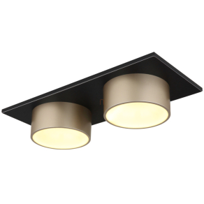 Mennyezeti LED lámpa - Raymond Globo 56964-2