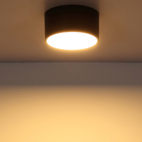 Mennyezeti LED lámpa, 15 cm, fekete - Raymond Globo 56964S