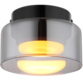   Mennyezeti lámpa, füstszínű üveg - Higgins Globo 16055DS