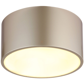   Mennyezeti LED lámpa, 15 cm, pezsgőszín - Raymond Globo 56964G