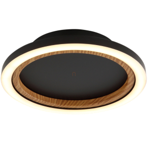 Mennyezeti LED lámpa - Dakari I Globo 67356D