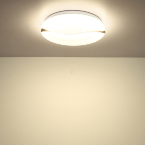   Szabályozható mennyezeti LED lámpa, 33 cm - Leticia Globo 41790-18