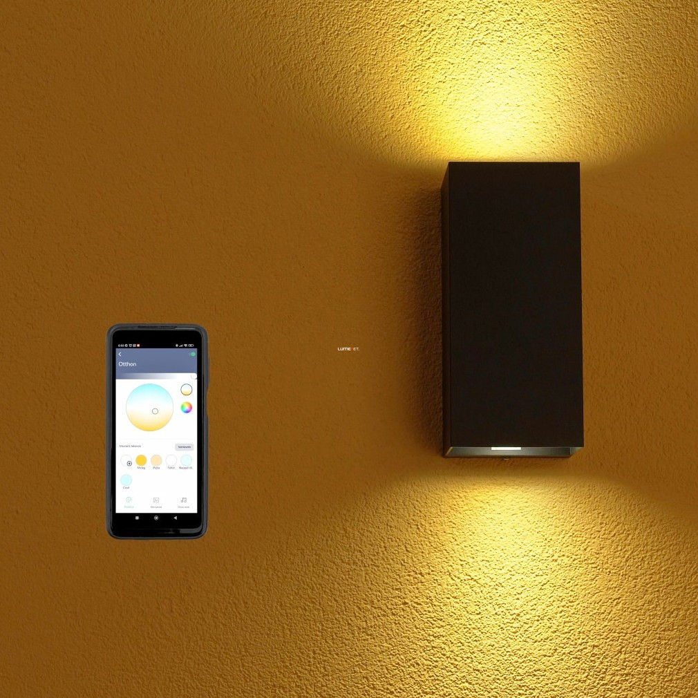Kültéri fali lámpa okos fényforrással, fekete (Eremitana-Z)