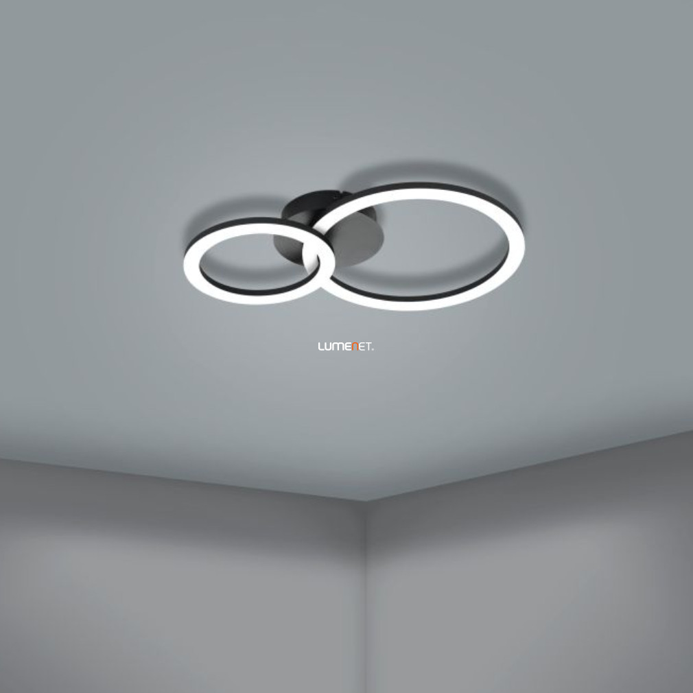 Szabályozható mennyezeti LED lámpa 15 W, hideg-melegfehér, fekete-fehér színű (Parrapos)