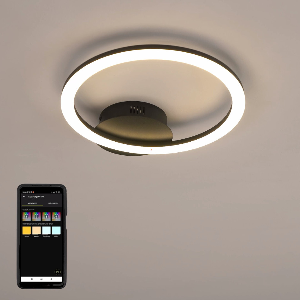 Szabályozható mennyezeti LED lámpa 12 W, hideg-melegfehér, fekete-fehér színű (Parrapos)