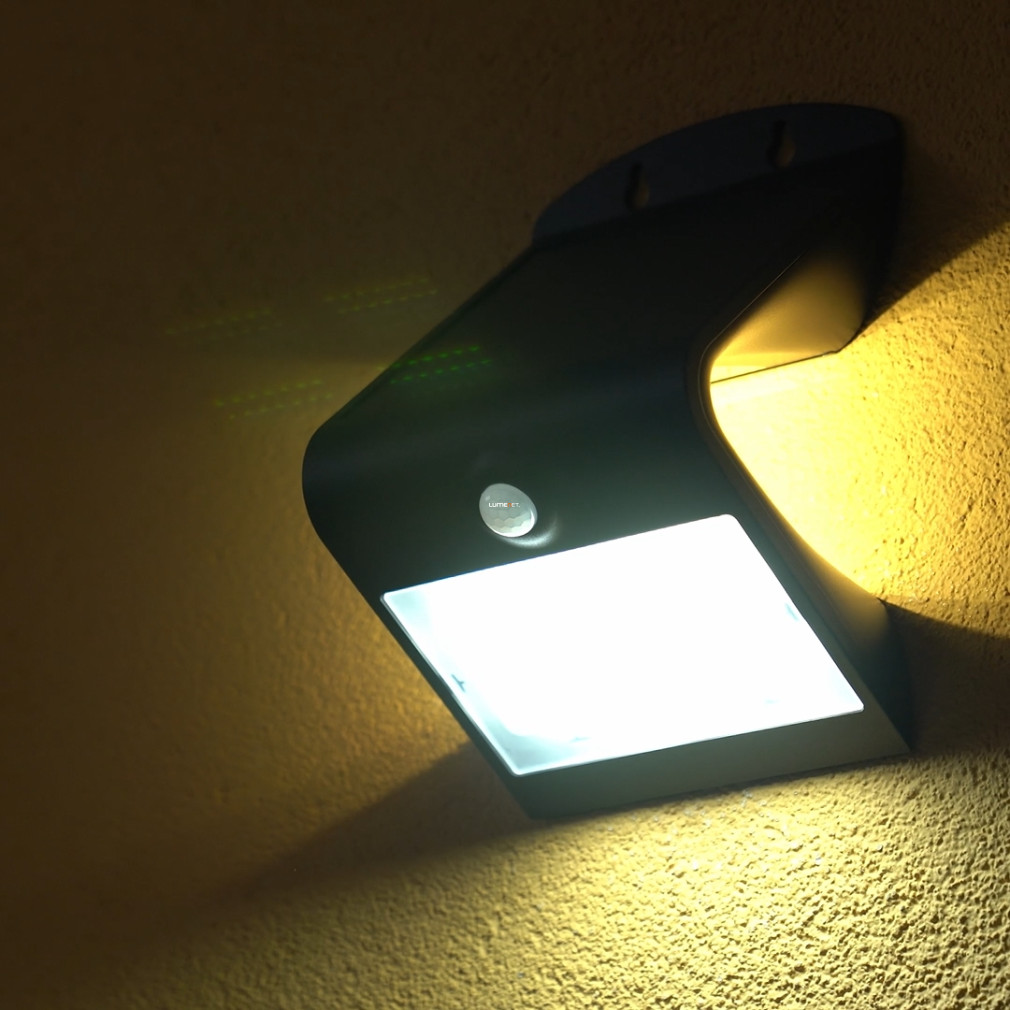 Kültéri fali LED lámpa, fekete (Lamozzo)