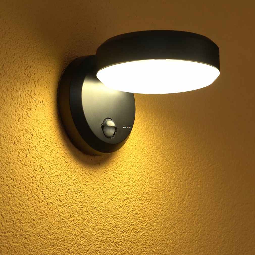 Kültéri fali LED lámpa mozgásérzékelővel 102 W, hidegfehér, fekete, áttetsző (Faedo)