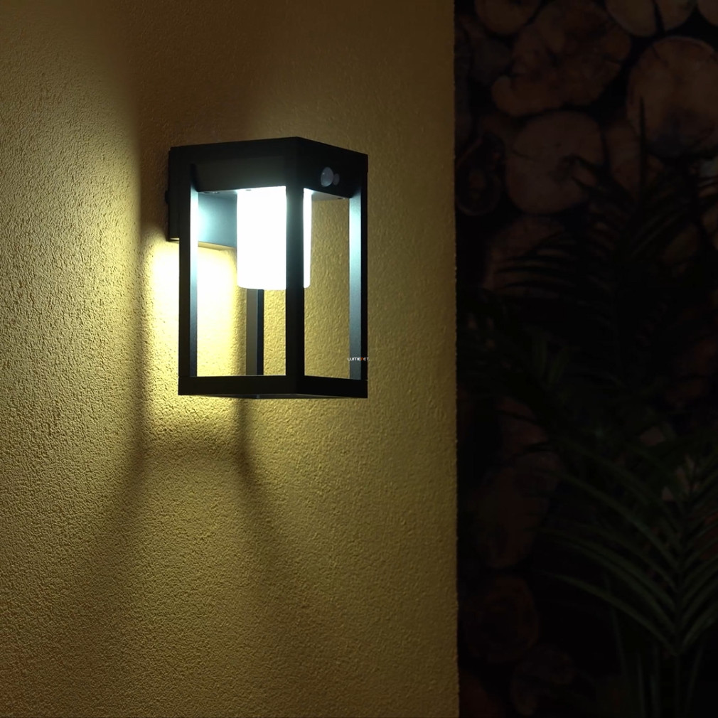 Kültéri mozgásérzékelős fali LED lámpa, fekete (Marchesa-C-RGBW)