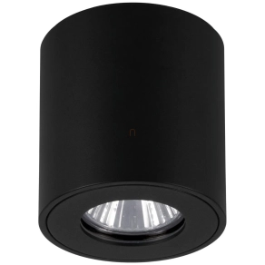   Kültéri mennyezeti lámpa - Torrecola Eglo 901028, 1xGU10 foglalattal, 220-240 V, IP44
