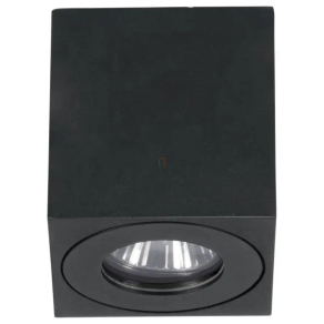   Kültéri mennyezeti lámpa - Torrecola Eglo 901029, 1xGU10 foglalattal, 220-240 V, IP44