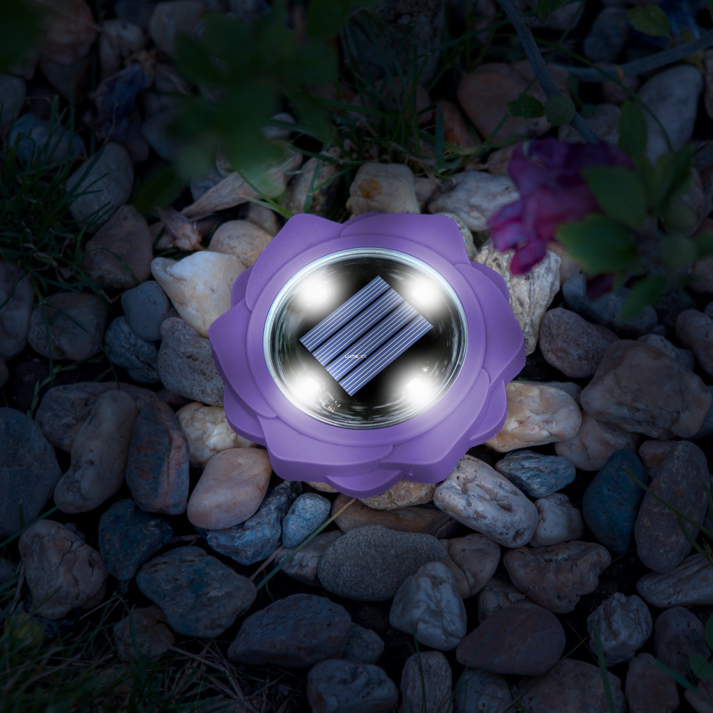 Lila virágos földbeszúrható LED lámpa, napelemes - 11,5 x 2,3 cm