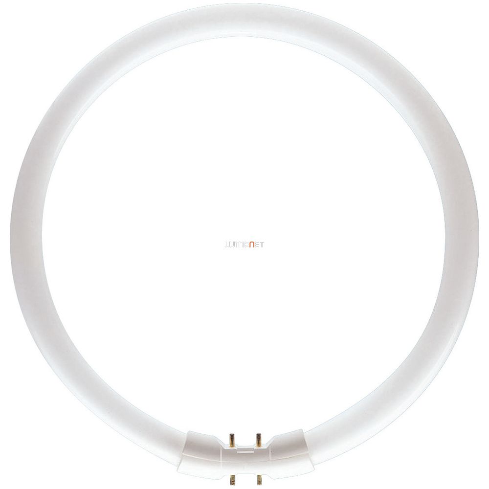 PHILIPS MASTER TL5 CIRCULAR 60W/840 2GX13 367mm PHILIPS MASTER TL5 CIRCULAR 60W/840 2GX13 367mm