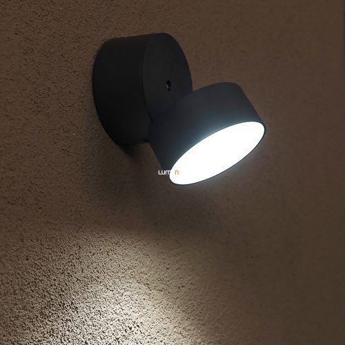 Lutec 6260 GR TRUMPET 11W LED IP54 fali szürke kültéri lámpa Lutec 6260 GR TRUMPET 11W LED IP54 fali szürke kültéri lámpa