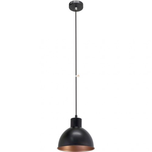 Eglo 49238 Truro 1 függeszték 1xE27 max.60W Eglo 49238 Truro 1 függeszték 1xE27 max.60W
